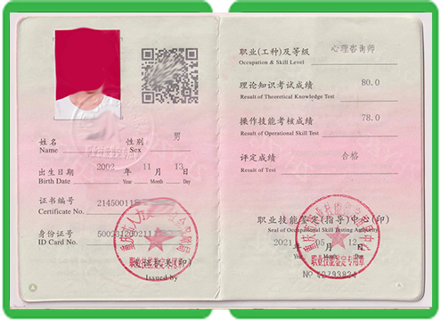 職業技能等級證書樣本